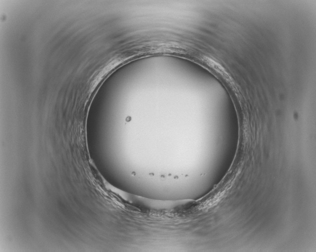 X0000059231089200511041235