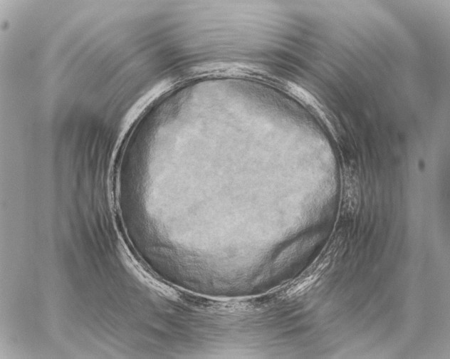 X0000059231090200511041235