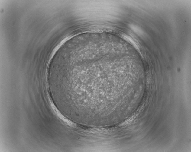 X0000059231091200511041235