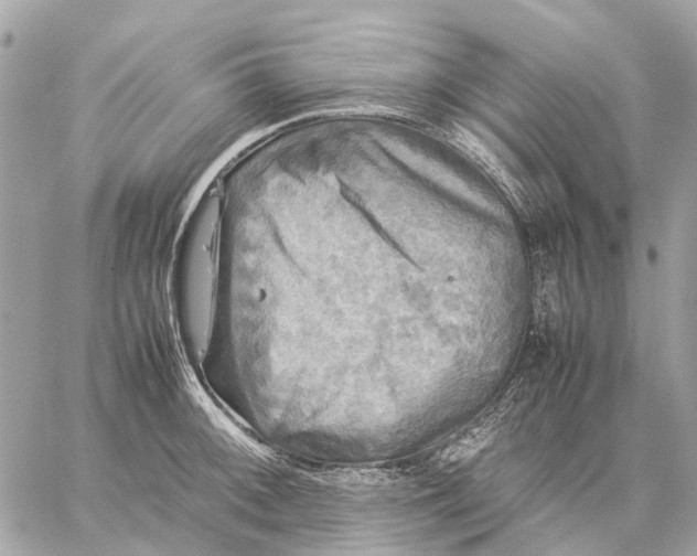 X0000059231092200511041235