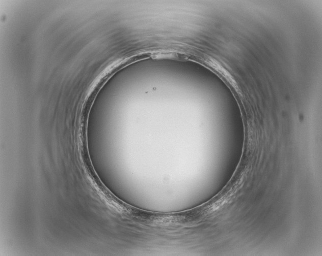 X0000059231093200511041235