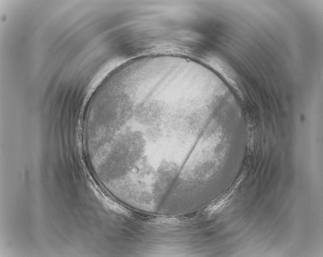 X0000059231094200511041235