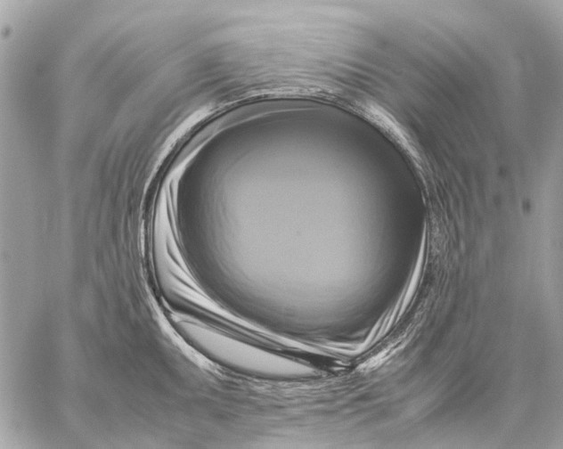 X0000059231095200511041235