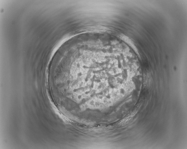 X0000059231099200511041235