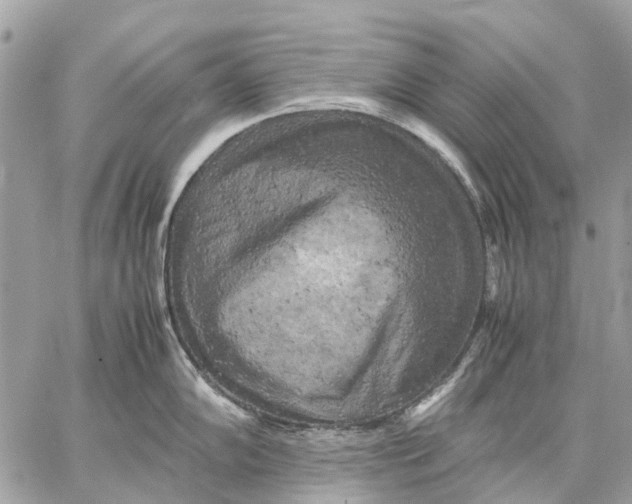 X0000059231102200511041235