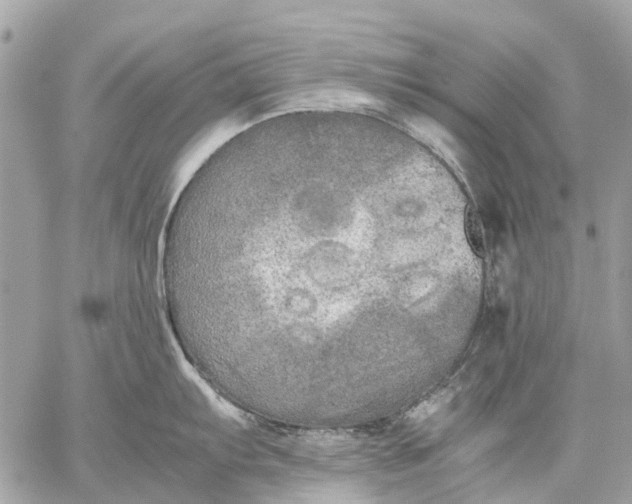 X0000059231103200511041235