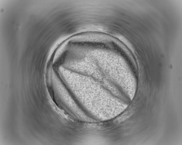 X0000059231104200511041235