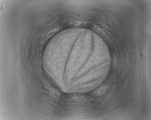 X0000059231105200511041234