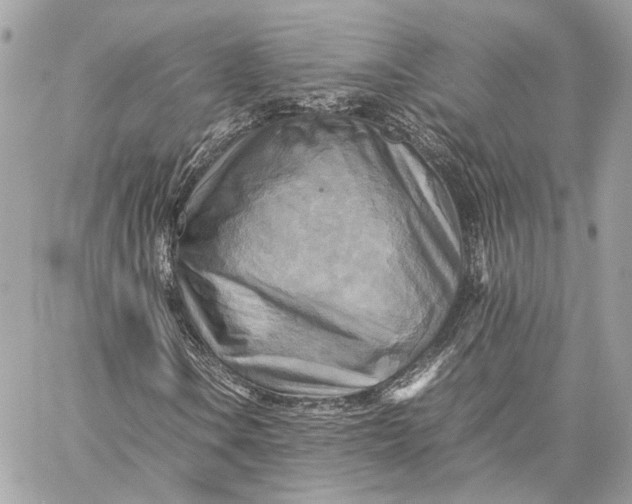 X0000059231106200511041234