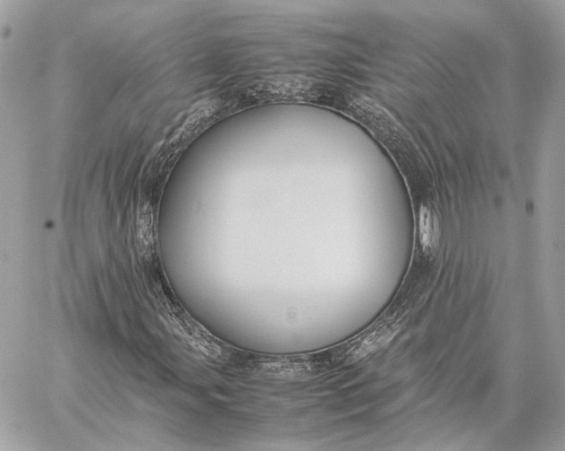 X0000059231107200511041234