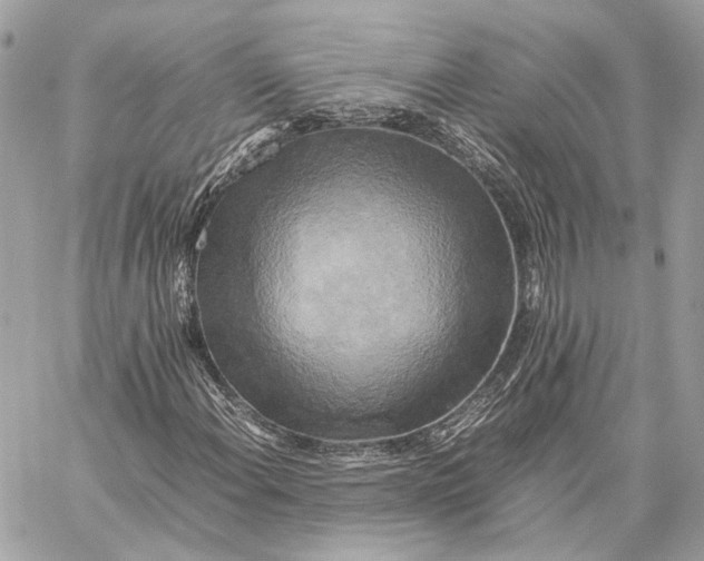 X0000059231108200511041234