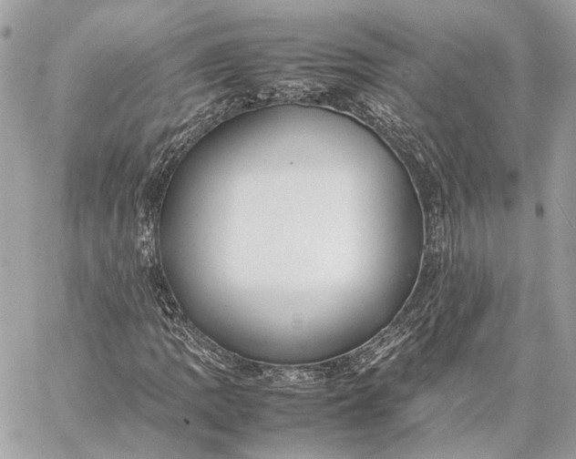 X0000059231109200511041234