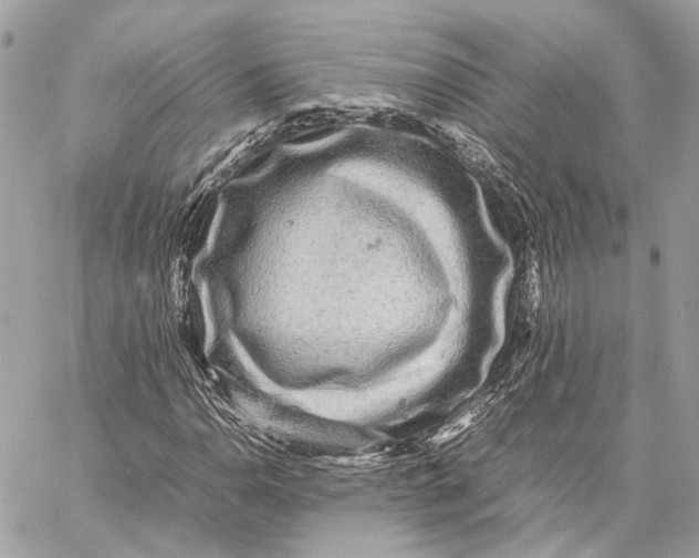 X0000059231110200511041234