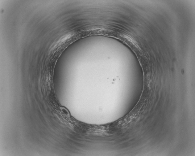 X0000059231111200511041234