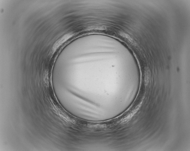 X0000059231113200511041234