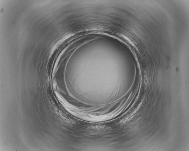 X0000059231117200511041234