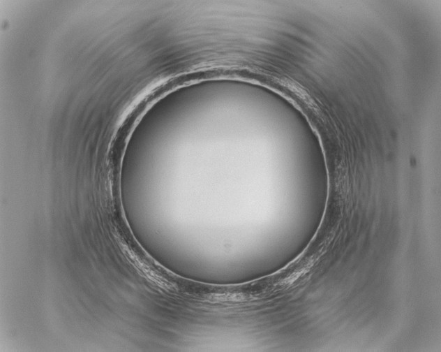 X0000059231118200511041234