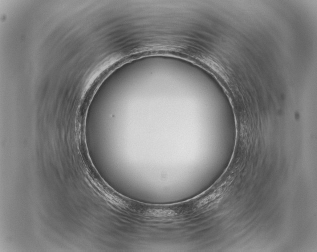 X0000059231119200511041234