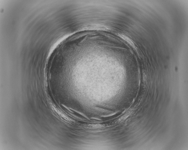 X0000059231120200511041235