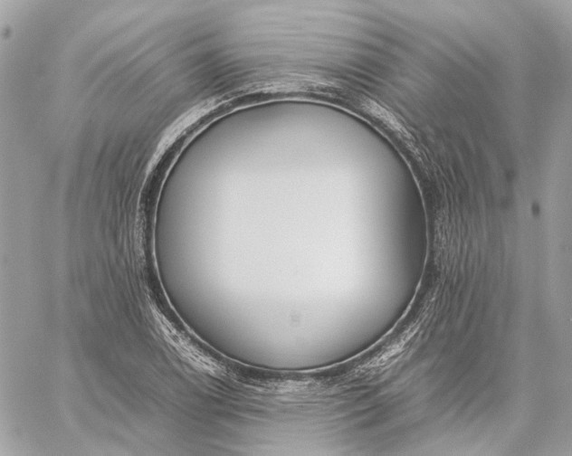 X0000059231122200511041235