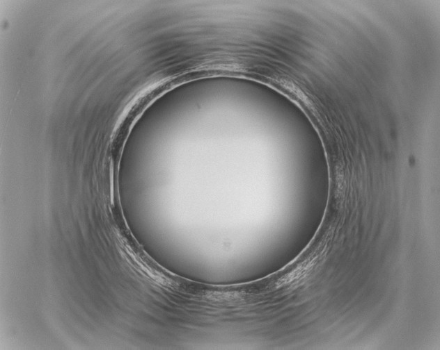 X0000059231123200511041235