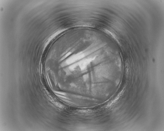 X0000059231125200511041235