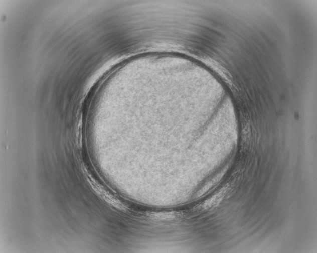 X0000059231126200511041235