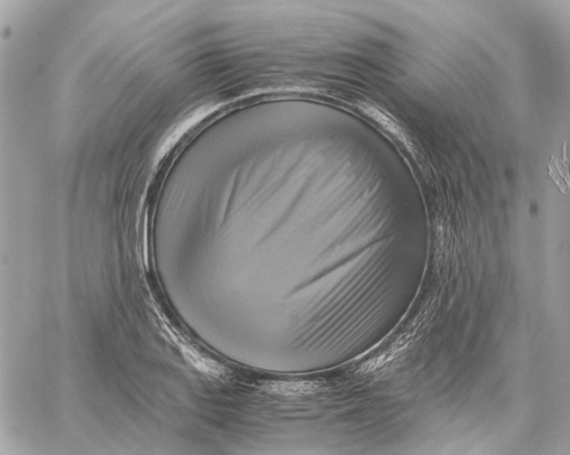 X0000059231127200511041235