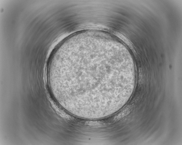 X0000059231128200511041235