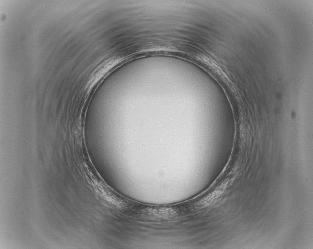 X0000059231129200511041235