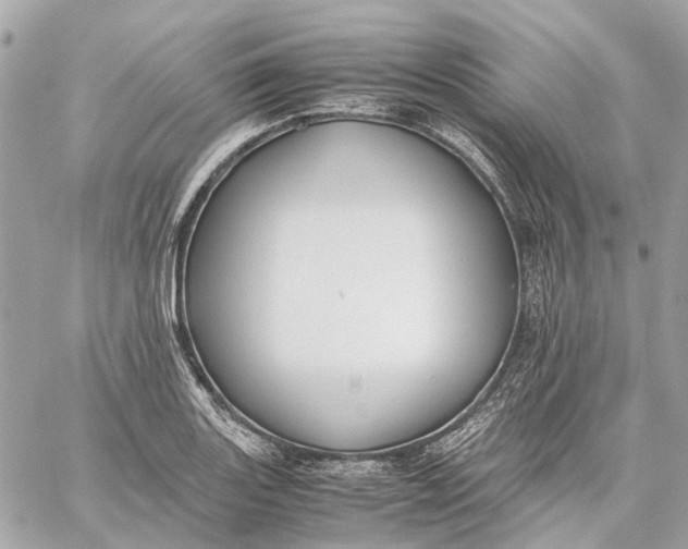 X0000059231131200511041235