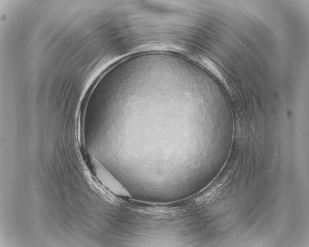 X0000059231132200511041235