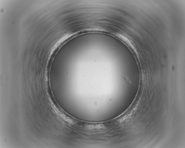 X0000059231133200511041235