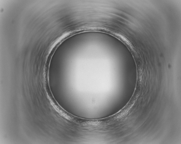 X0000059231134200511041235