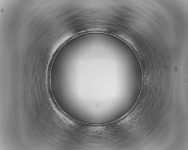 X0000059231135200511041235