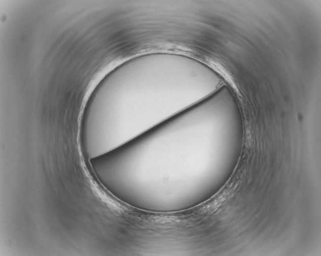 X0000059231136200511041235