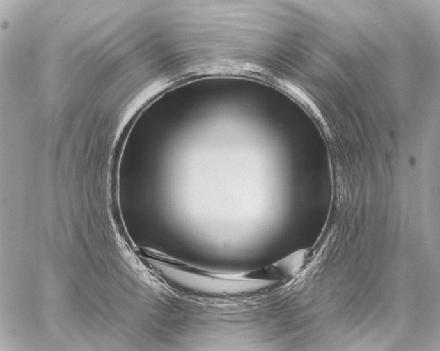 X0000059231138200511041235