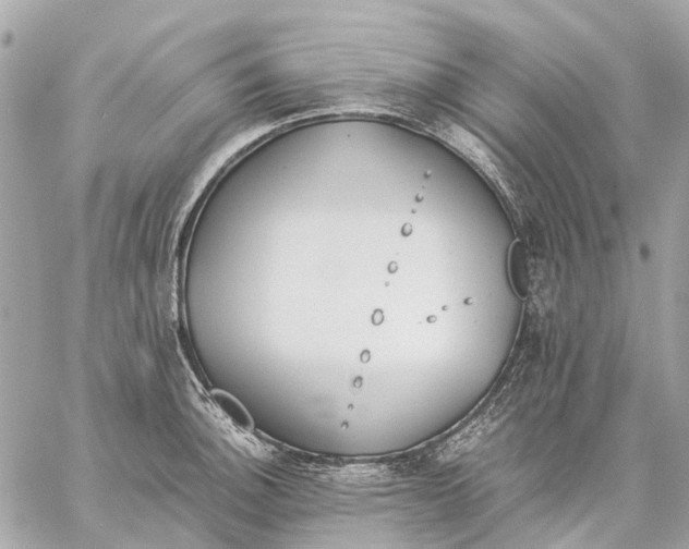 X0000059231140200511041235