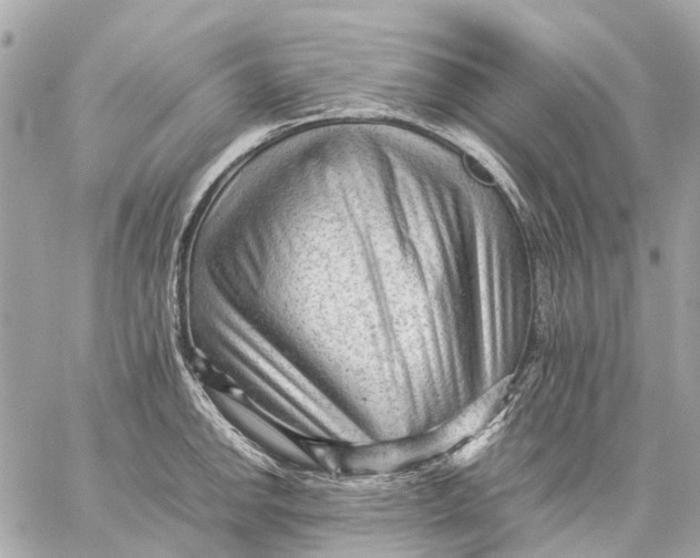 X0000059231142200511041235