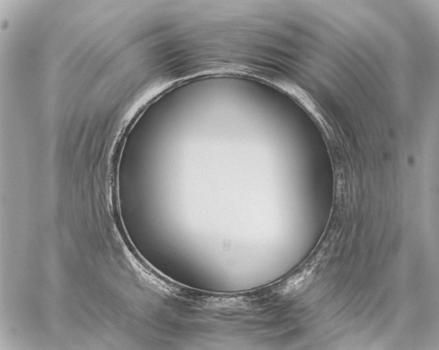 X0000059231143200511041235