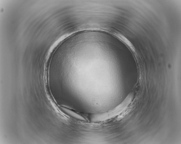 X0000059231144200511041235