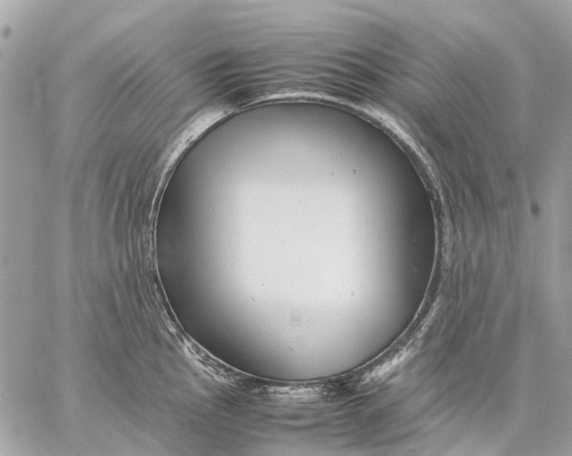 X0000059231145200511041235