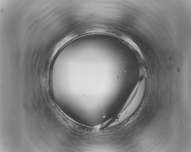 X0000059231146200511041235