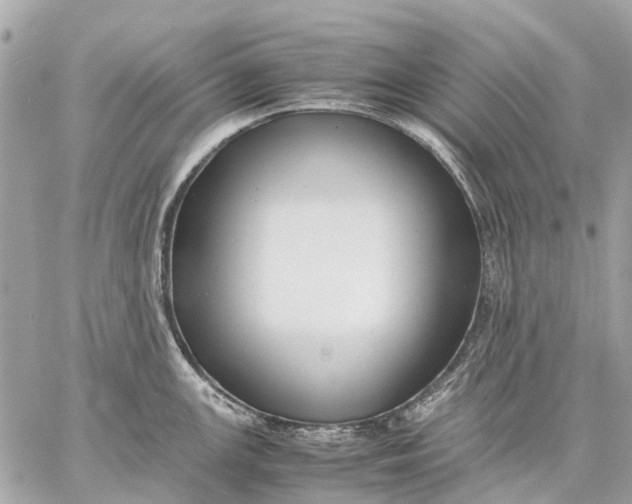 X0000059231147200511041235