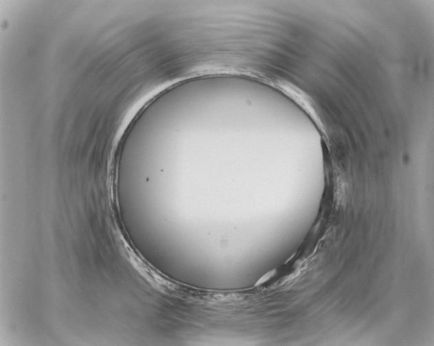 X0000059231148200511041235