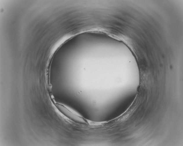 X0000059231151200511041235