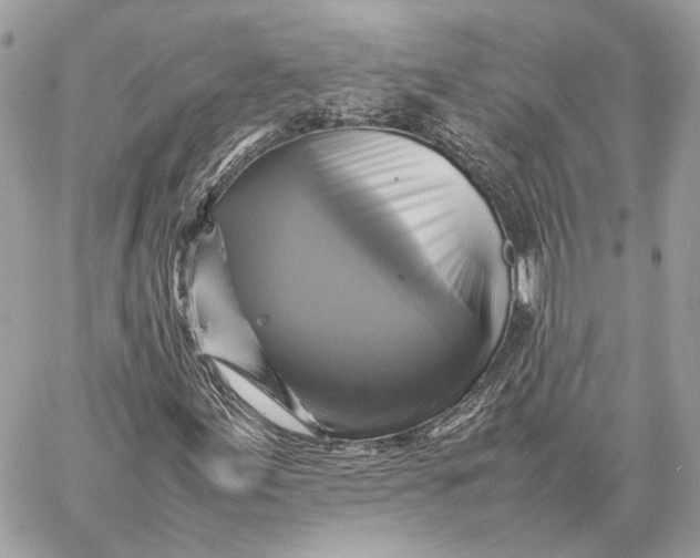 X0000059231155200511041234