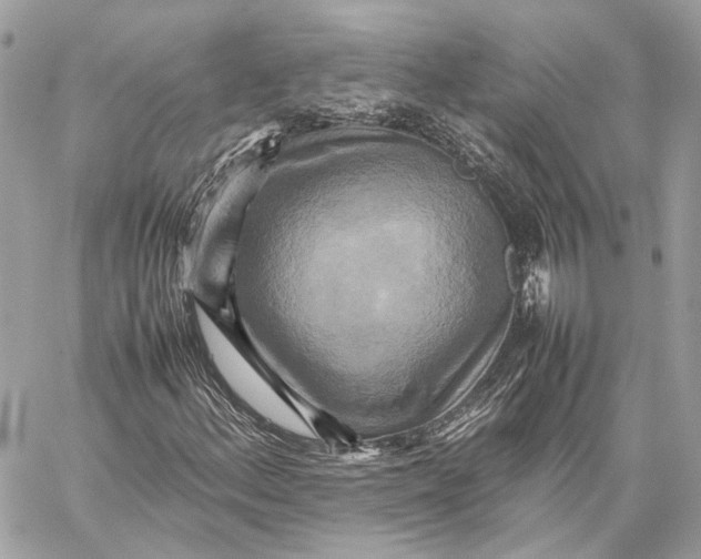 X0000059231156200511041234