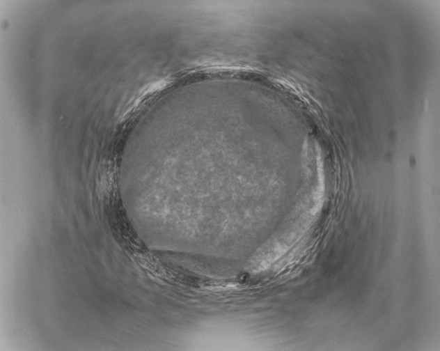 X0000059231157200511041234