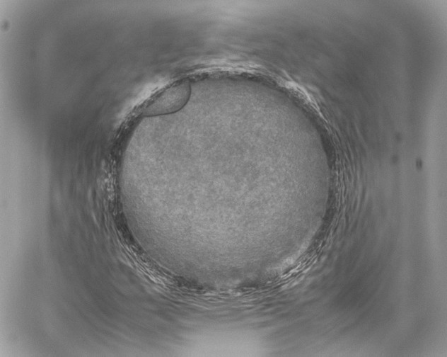 X0000059231159200511041234